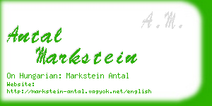 antal markstein business card